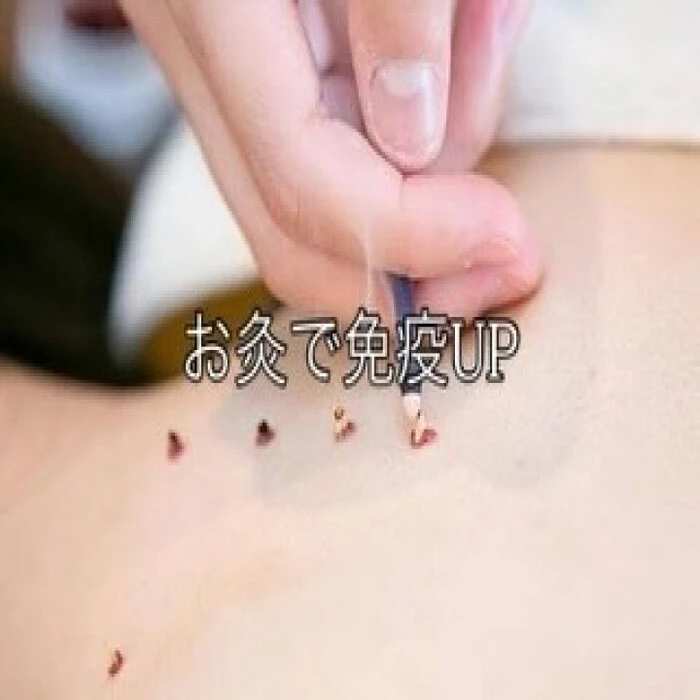 画像1345