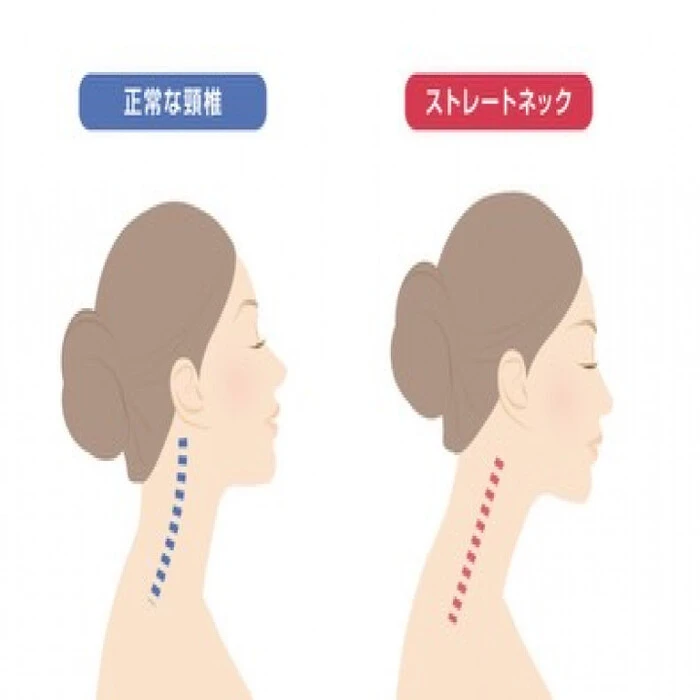 画像1681
