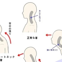 画像1682