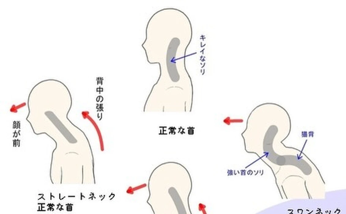 画像1682