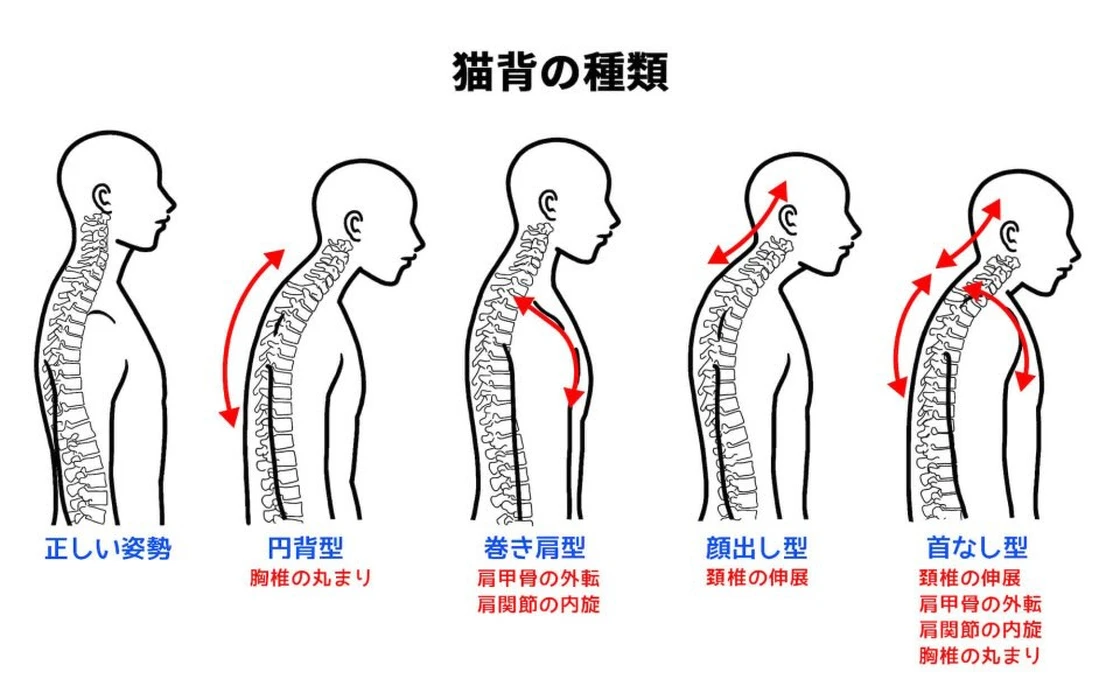 画像1866