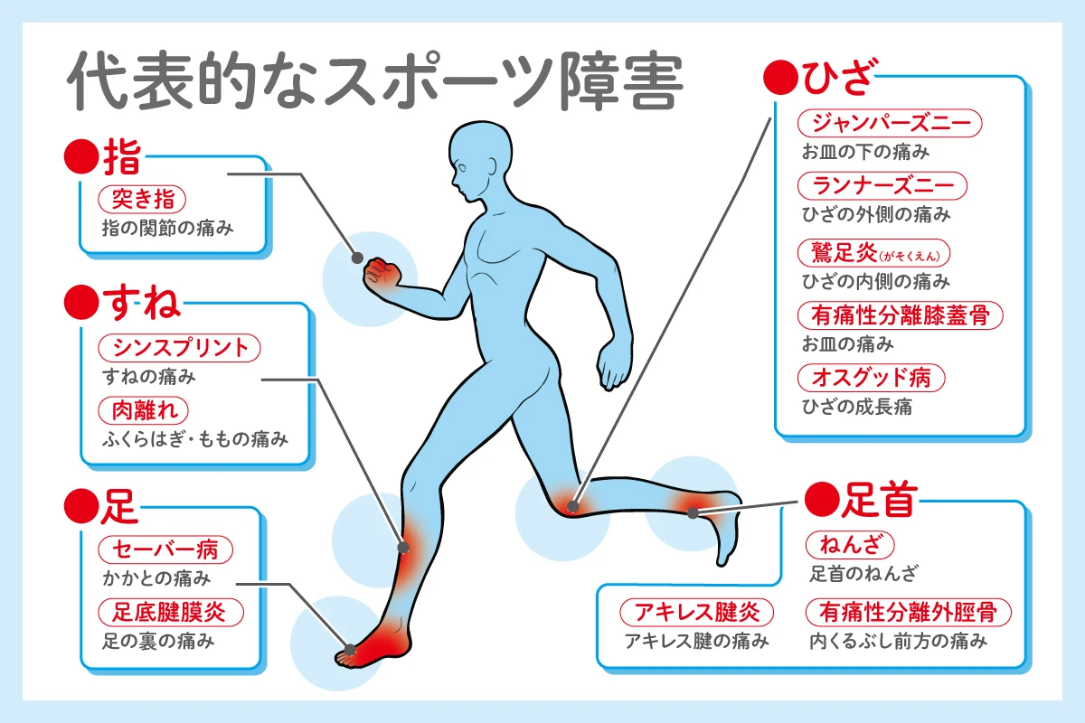 猫背矯正で未来の健康を守る！